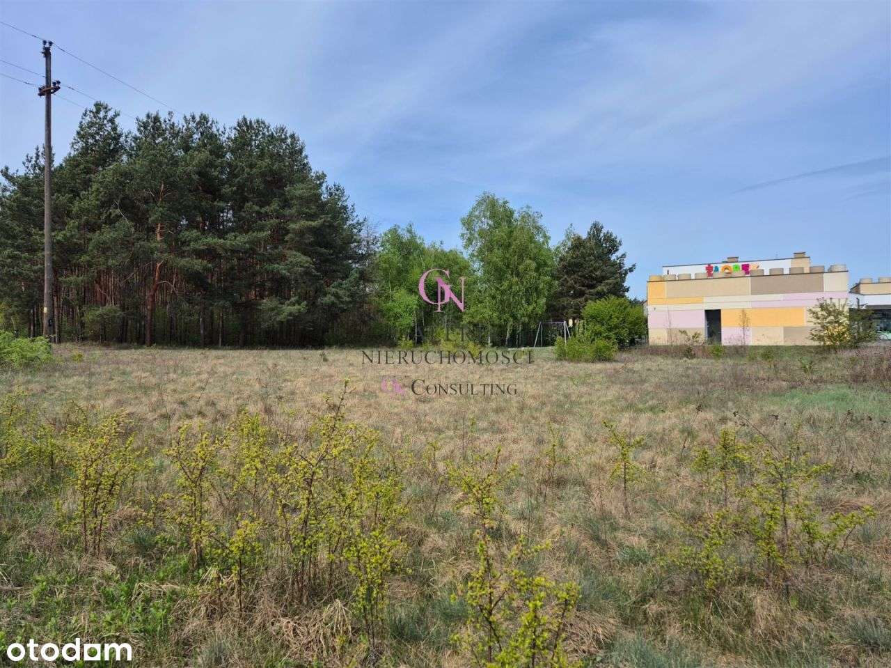 Działka z prywatnym lasem w centrum Odolionu - Pełny obrazek: 5/9