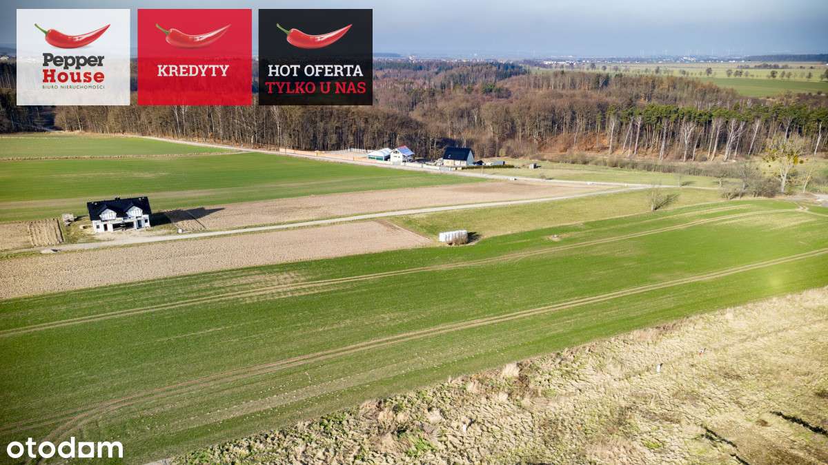 Działka blisko morza! Osłonino - Pełny obrazek: 4/19