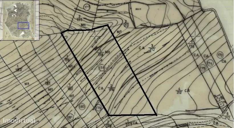 Terreno Rústico 16960m2 - S. B Messines - Grande imagem: 4/4