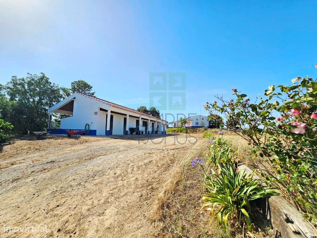 Herdade equestre com moradia T5 e piscina, 93,5ha, em Ourique, Alen...-19