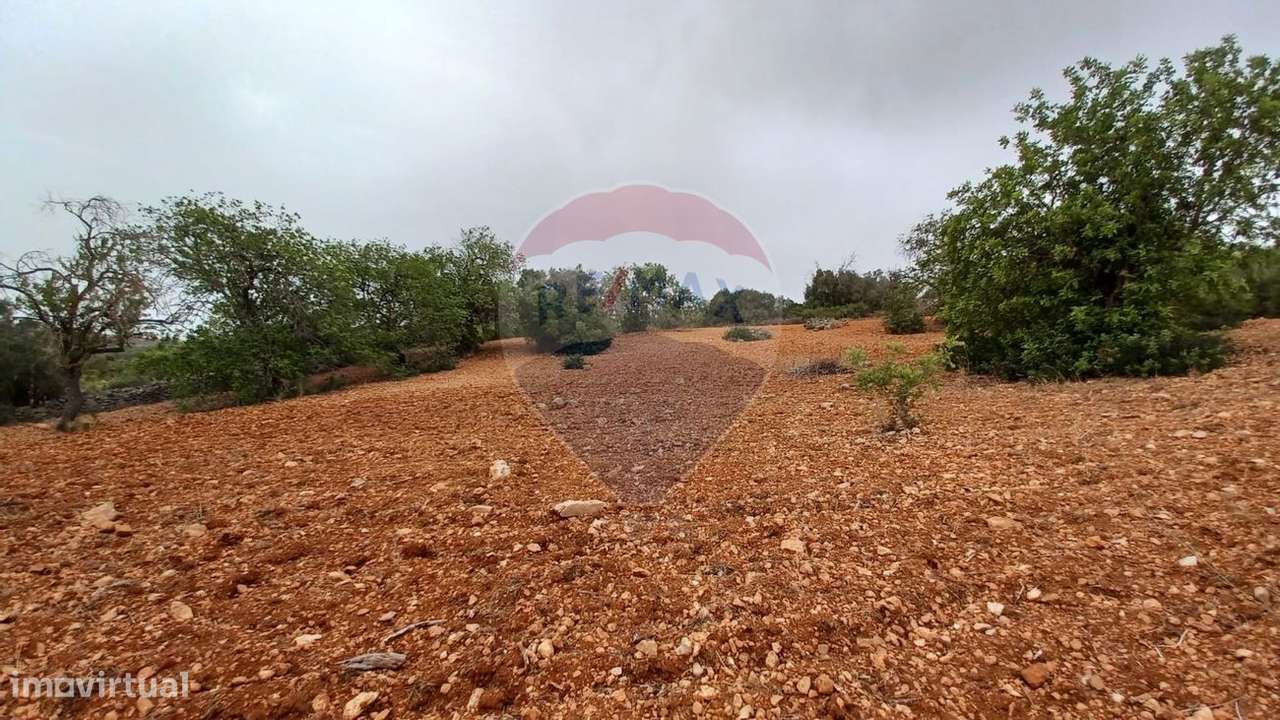 Terreno  para venda - Grande imagem: 2/6