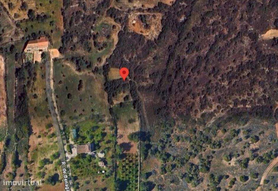 Terreno rustico em Benagaia - Grande imagem: 1/3