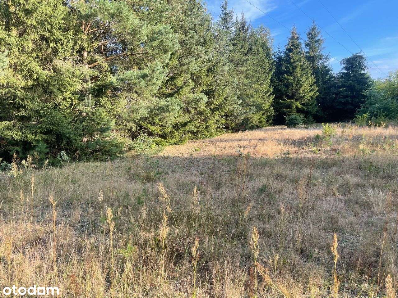 Sprzedam działkę bud-3000m-Stefanowo-gm.Lesznowola-8