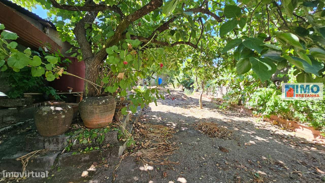 Garagem com terreno e anexos na Lousa-13