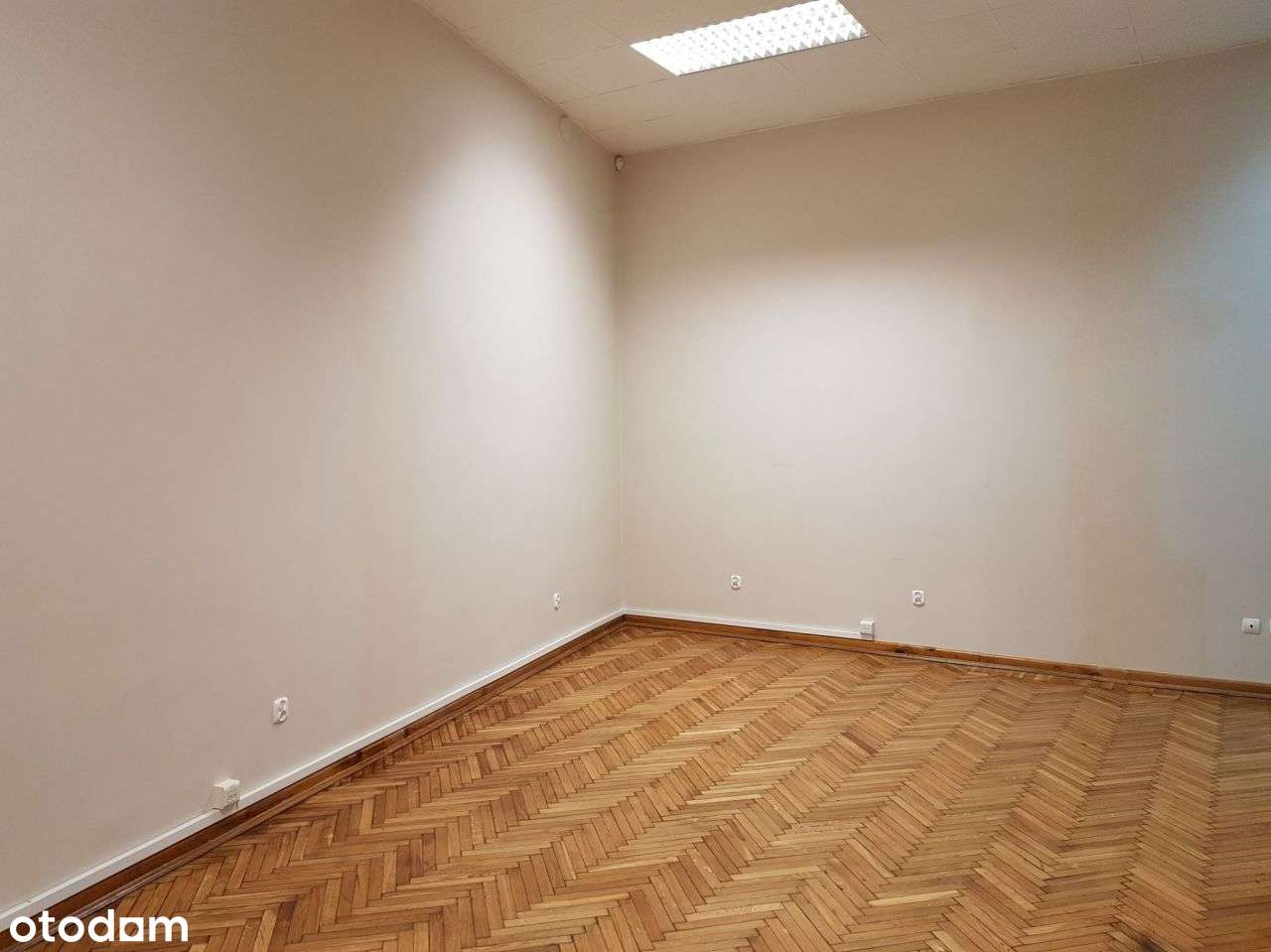 Klimatyzowane biuro z parkietem na parterze + park - Pełny obrazek: 4/15