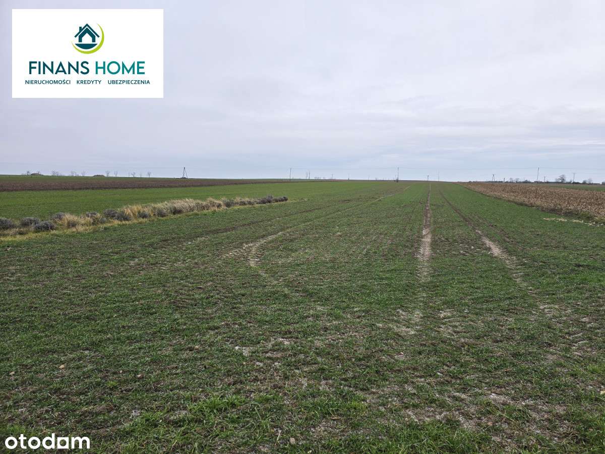 Tarnów Grodkowski działka budowlana 23,66 ara - Pełny obrazek: 5/7