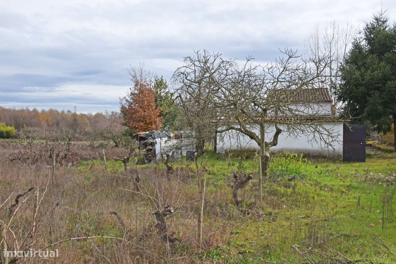 Quintinha c/ Moradia V2 - Peraboa - 10 min da Covilhã - Grande imagem: 4/37