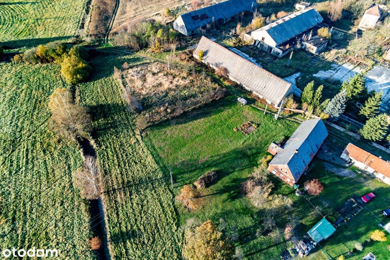 Działka z Domem - Białowice ok 4000 m2-7