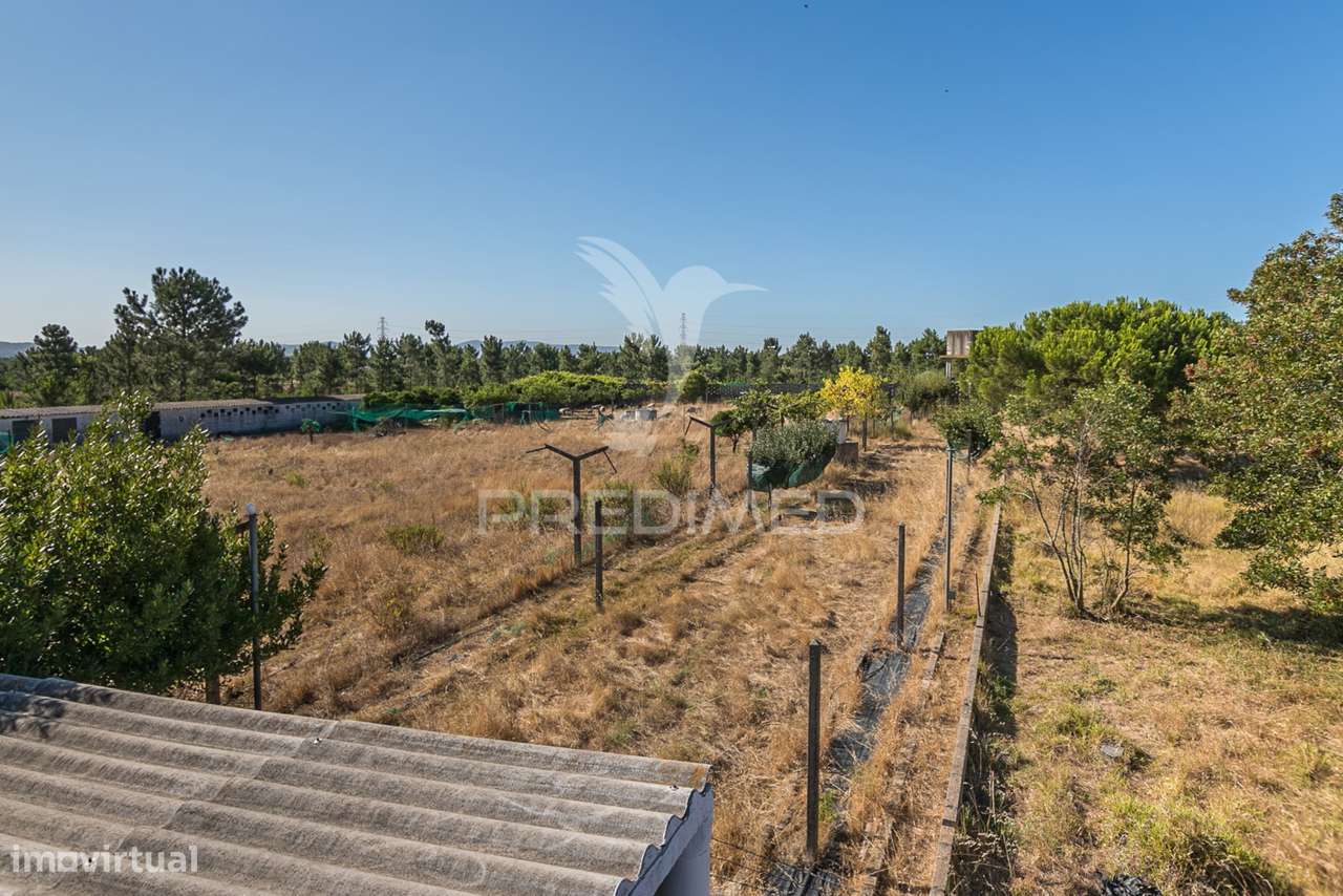 Quinta com viabilidade para construção de moradias - Grande imagem: 3/4