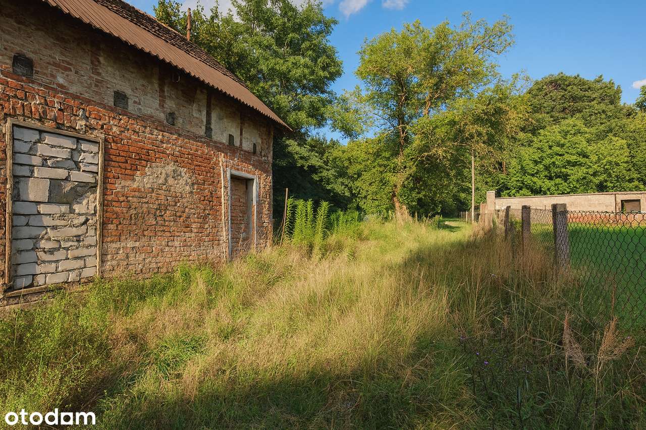 Twój azyl pod lasem – UNIKALNA działka z potencjałem w Wierzonce-8