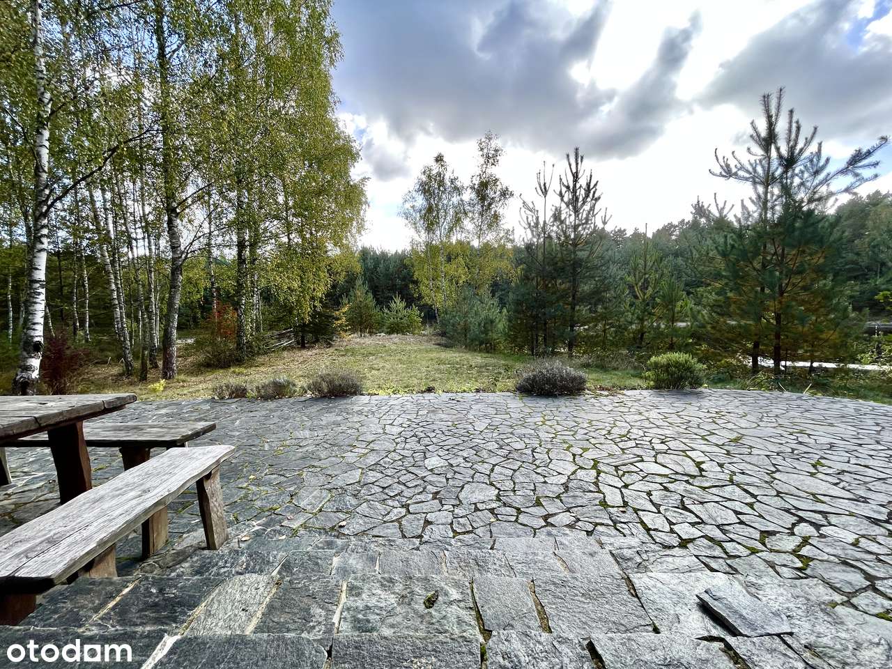 Posiadłość pod Warszawą z Basenem, własnym lasem i jeziorem.-12