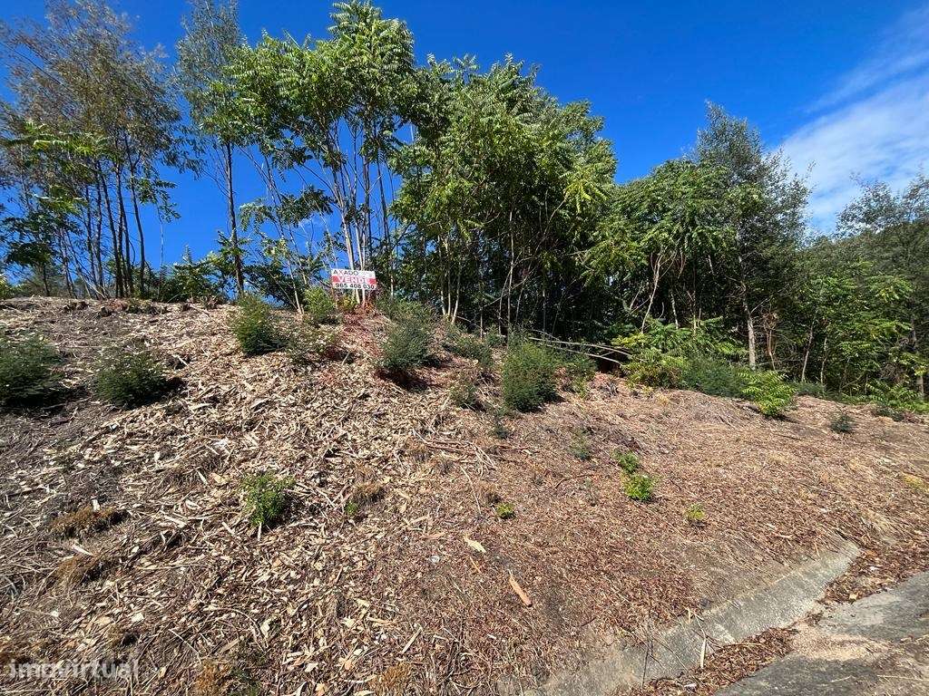 Terreno rústico - Grande imagem: 5/6