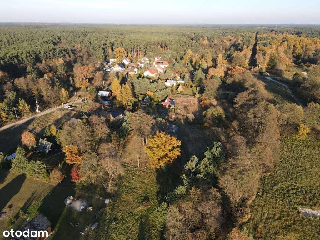 OKAZJA Osada Zylka dzialki Mala Panew Bezposrednio - Pełny obrazek: 4/13