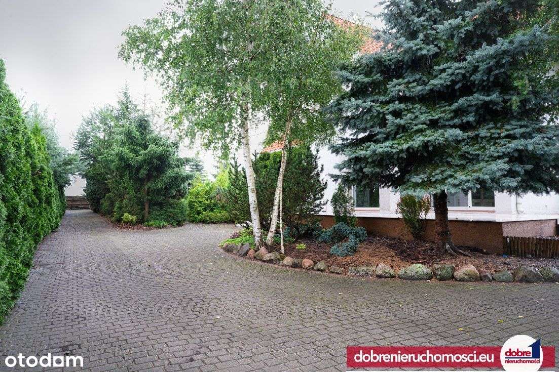 Tur, Dom z dużą, zadbaną działką wśród zieleni! - Pełny obrazek: 4/18