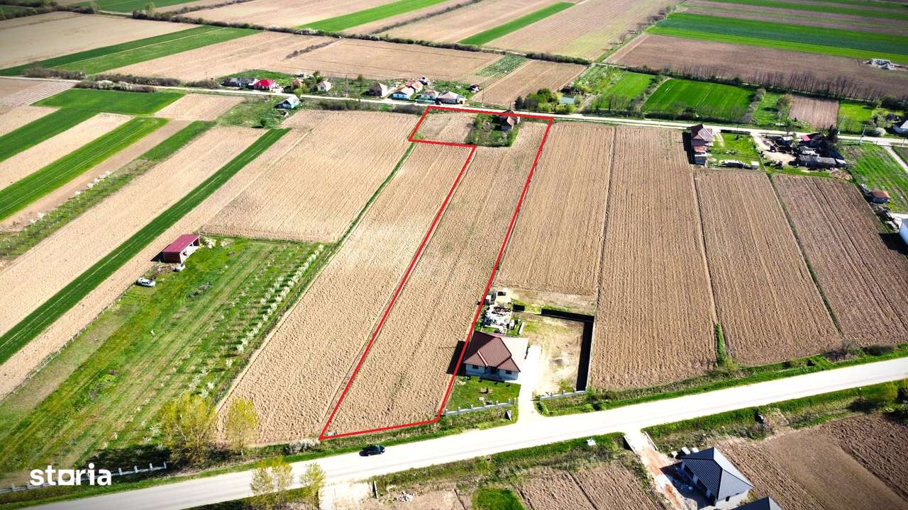 Teren Intravilan-7668mp-Ideal pentru parcelare-8