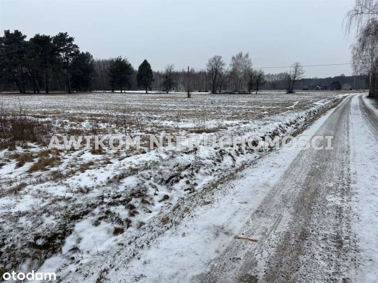 Działka, 24 000 m², Jaktorów-3