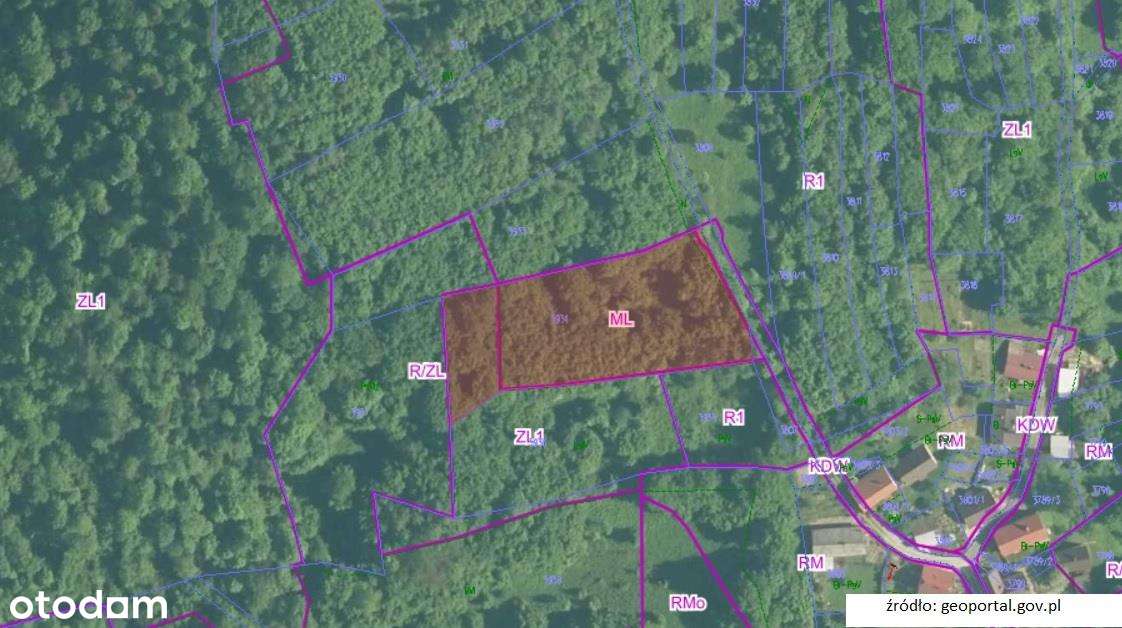 Działka  z zabudową letniskową w lesie !!-1