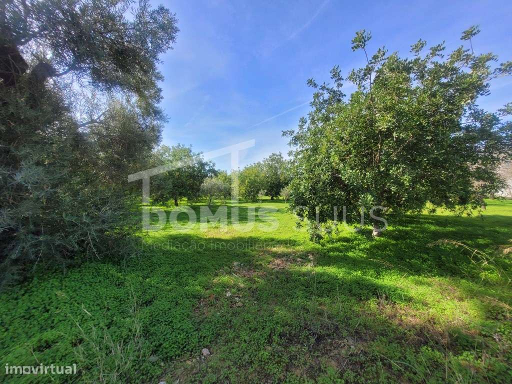 Terreno com 4200m totalmente plano com ótimas acessibilidades-2