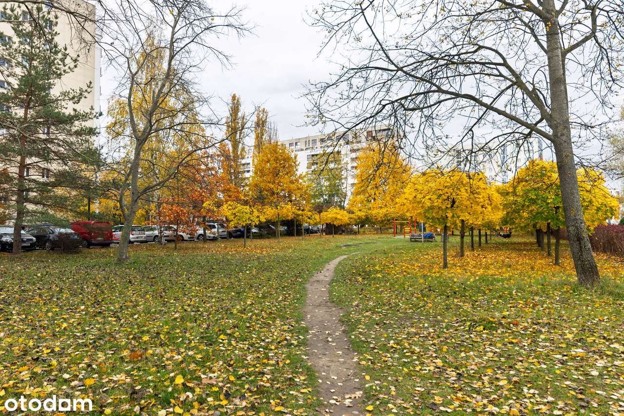 Słoneczne mieszkanie przy metrze Imielin – zielony Ursynów-13