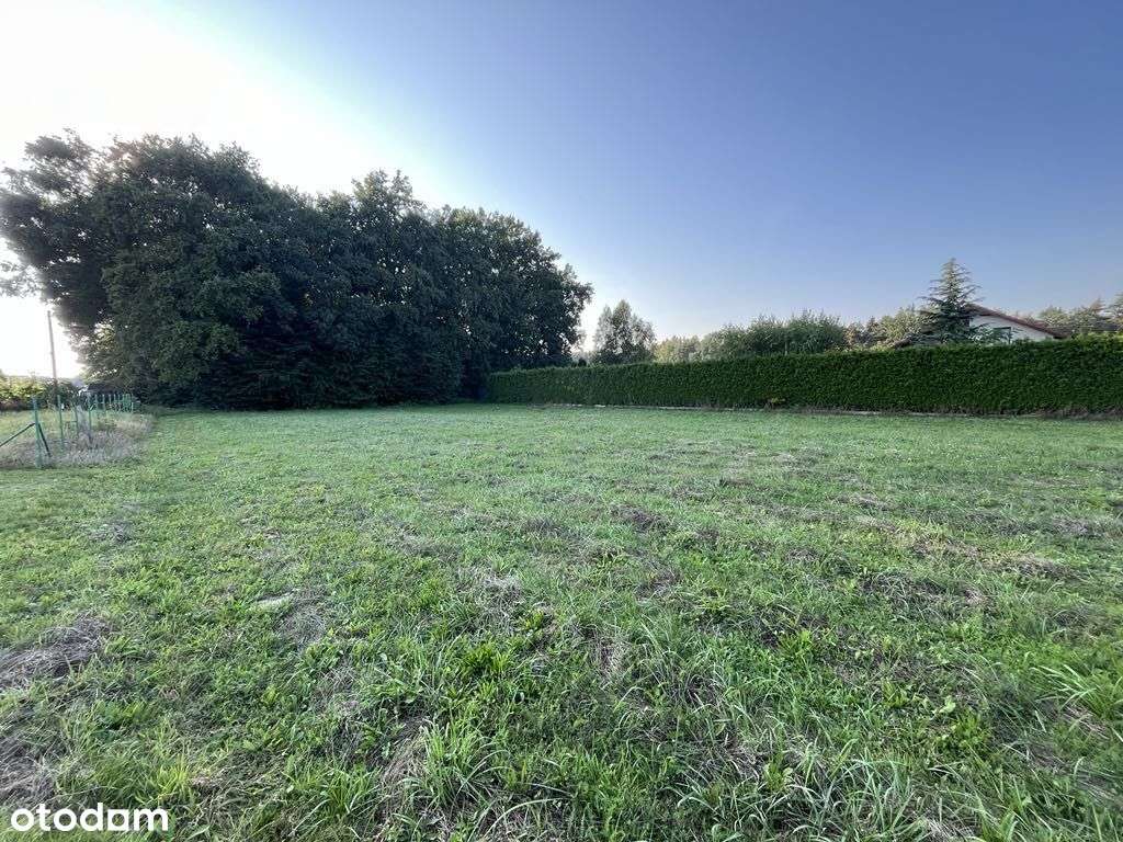 Idealna pod lasem Działka 21ar- Miedźna /blisko S1 - Pełny obrazek: 4/7