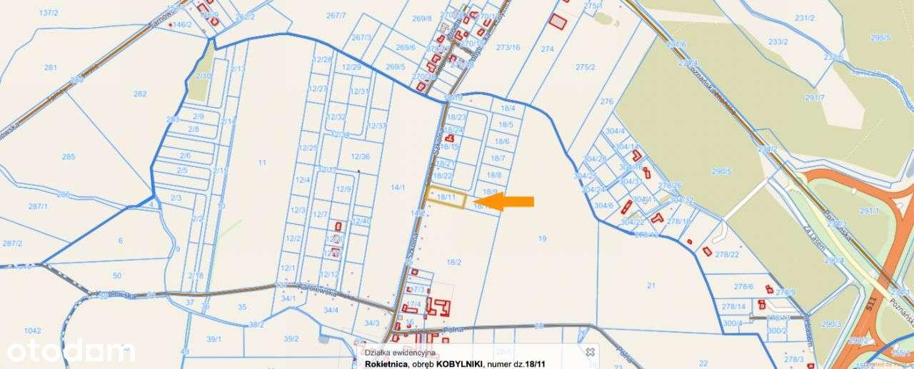 Działka gruntowa 3000m2 Kobylniki ul.Szkolna - Pełny obrazek: 4/11