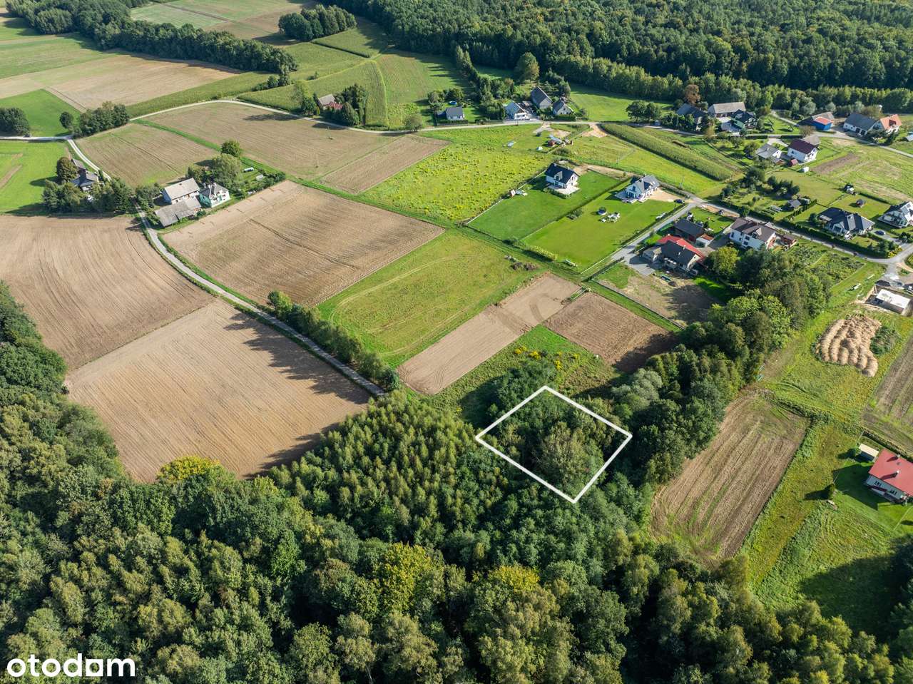 Działka budowlana z prywatnym lasem | Nidek - Pełny obrazek: 4/13