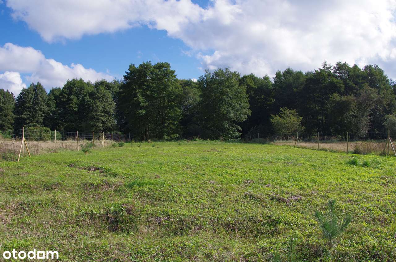 Działki nad morzem-2