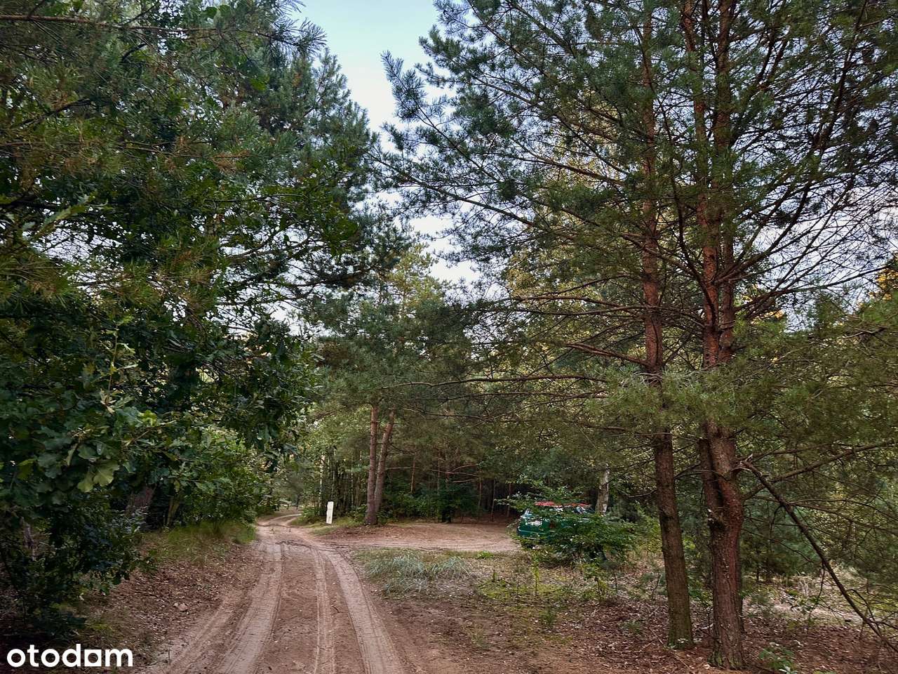 1,64 ha natury z WZ + żółty kontener z widokiem na las - Pełny obrazek: 5/7