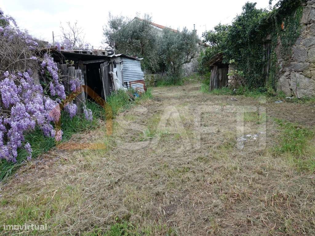 Quintinha com 6.845m2 e com casa de habitação para recuperar, com f... - Grande imagem: 4/18