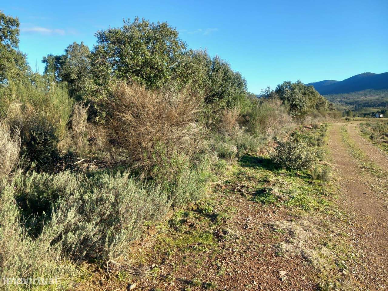 Terreno Rustico em Aranhas - Grande imagem: 2/20
