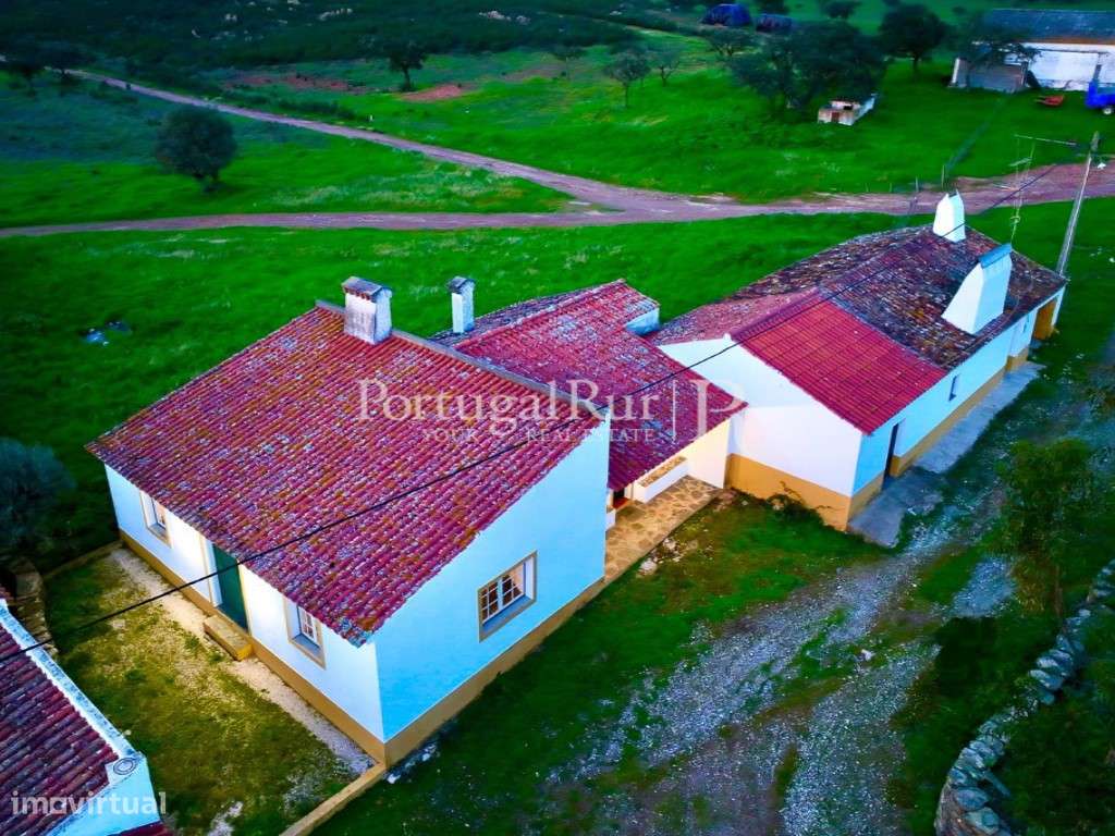 Monte com 4.400 m2 de terreno e habitação T3 - Grande imagem: 5/12