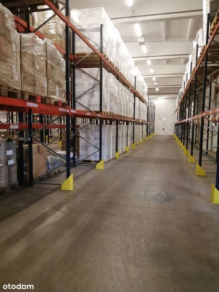 Magazyn o pow. 2360m2 - Pełny obrazek: 5/10