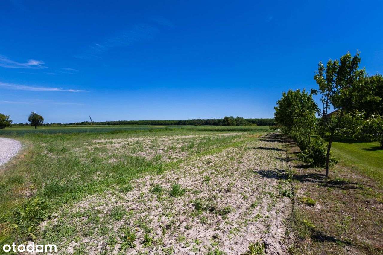 10 i 12 ar z mediami, okolice Lasu Osmolickiego-4