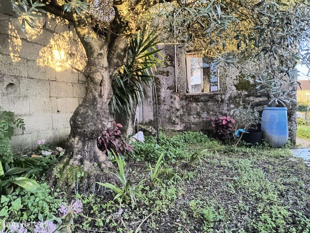 Terreno com casa para restaurar-17