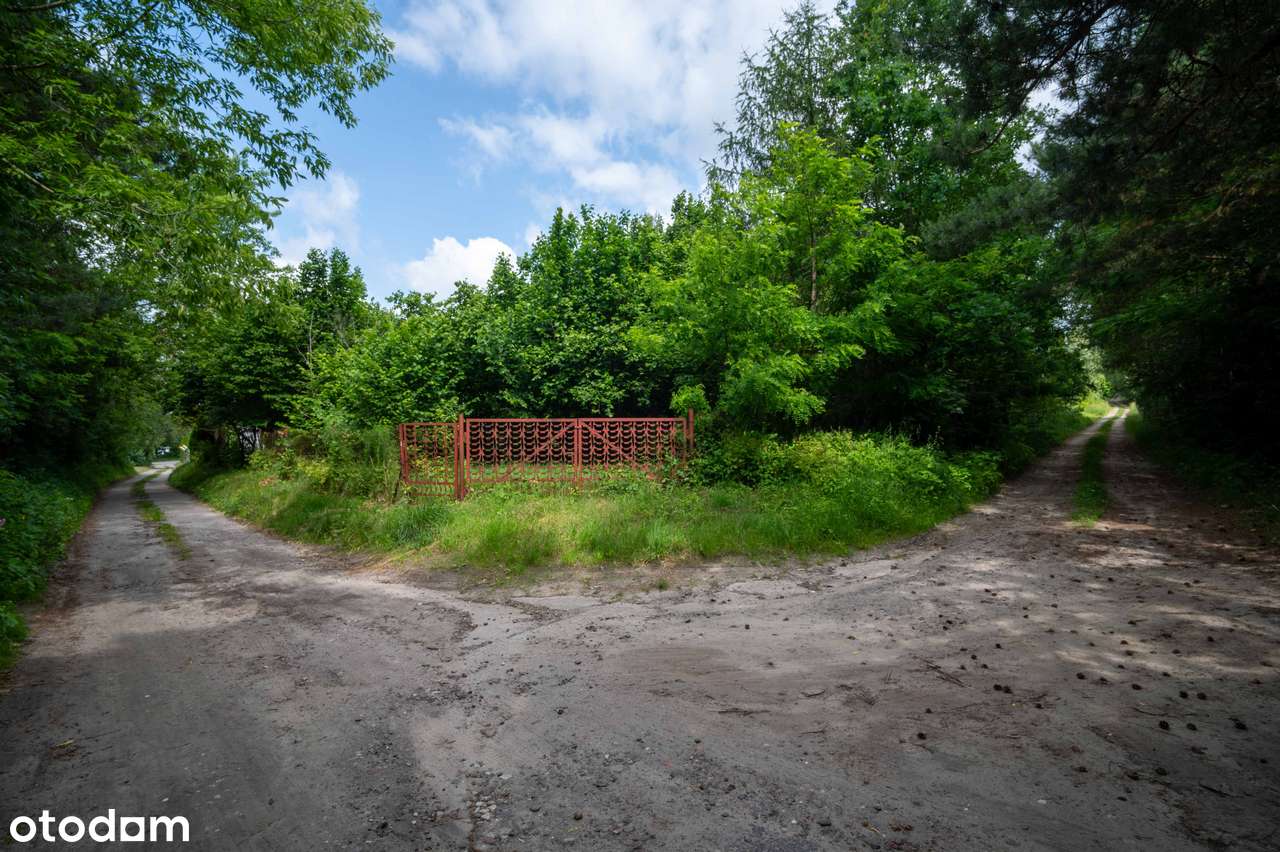 Działka budowlana w okolicy lasu-5