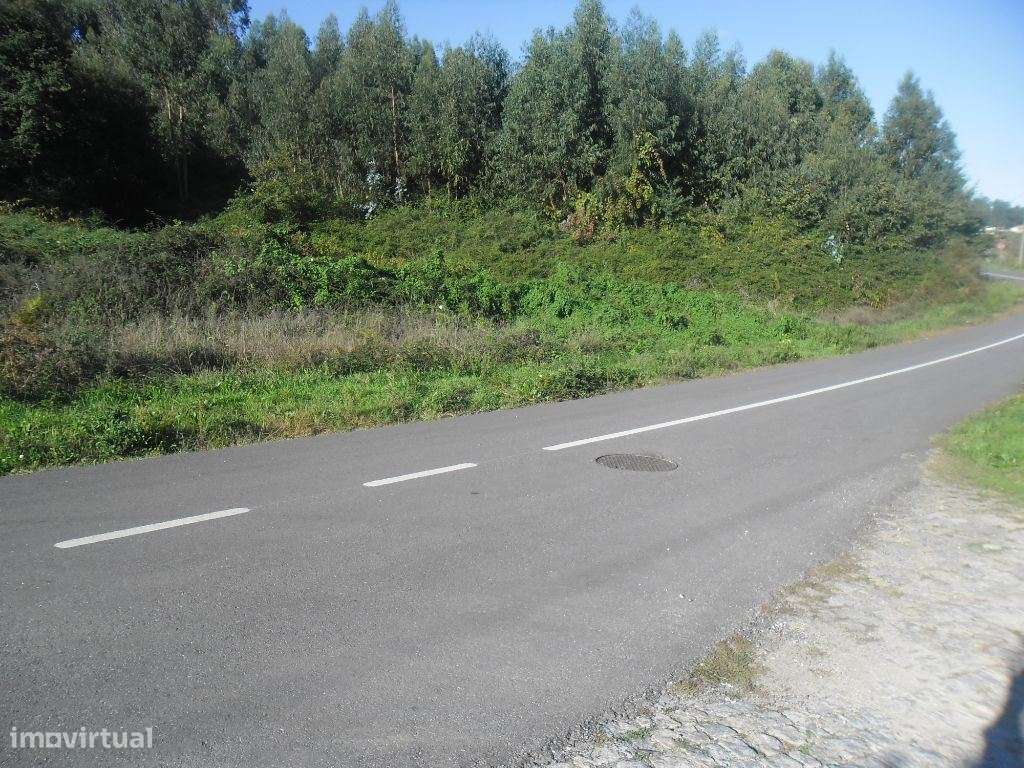 Terreno para Construção - Amarante ( Figueiró) - Grande imagem: 3/9