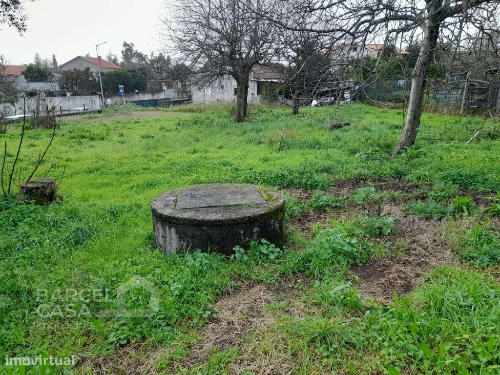 Propriedade em Galegos (Santa Maria) - Barcelos-11