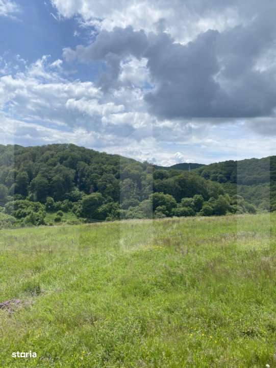 Teren cu potential – 1000 mp pe Dealul Partizanilor - Imagine principală: 3/5