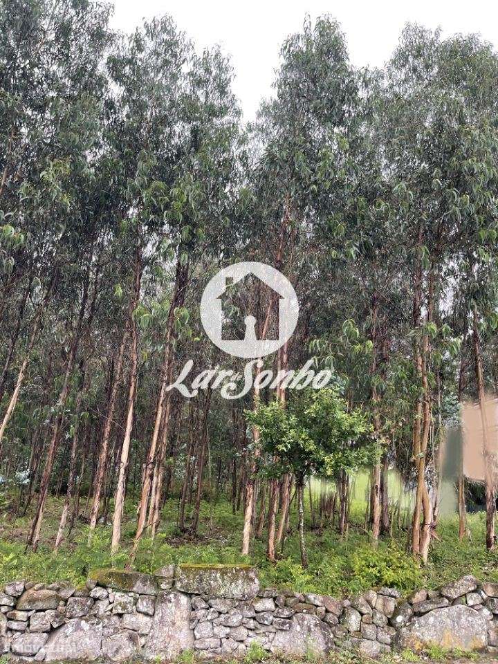 Terreno para construção em Barcelos - Grande imagem: 4/24