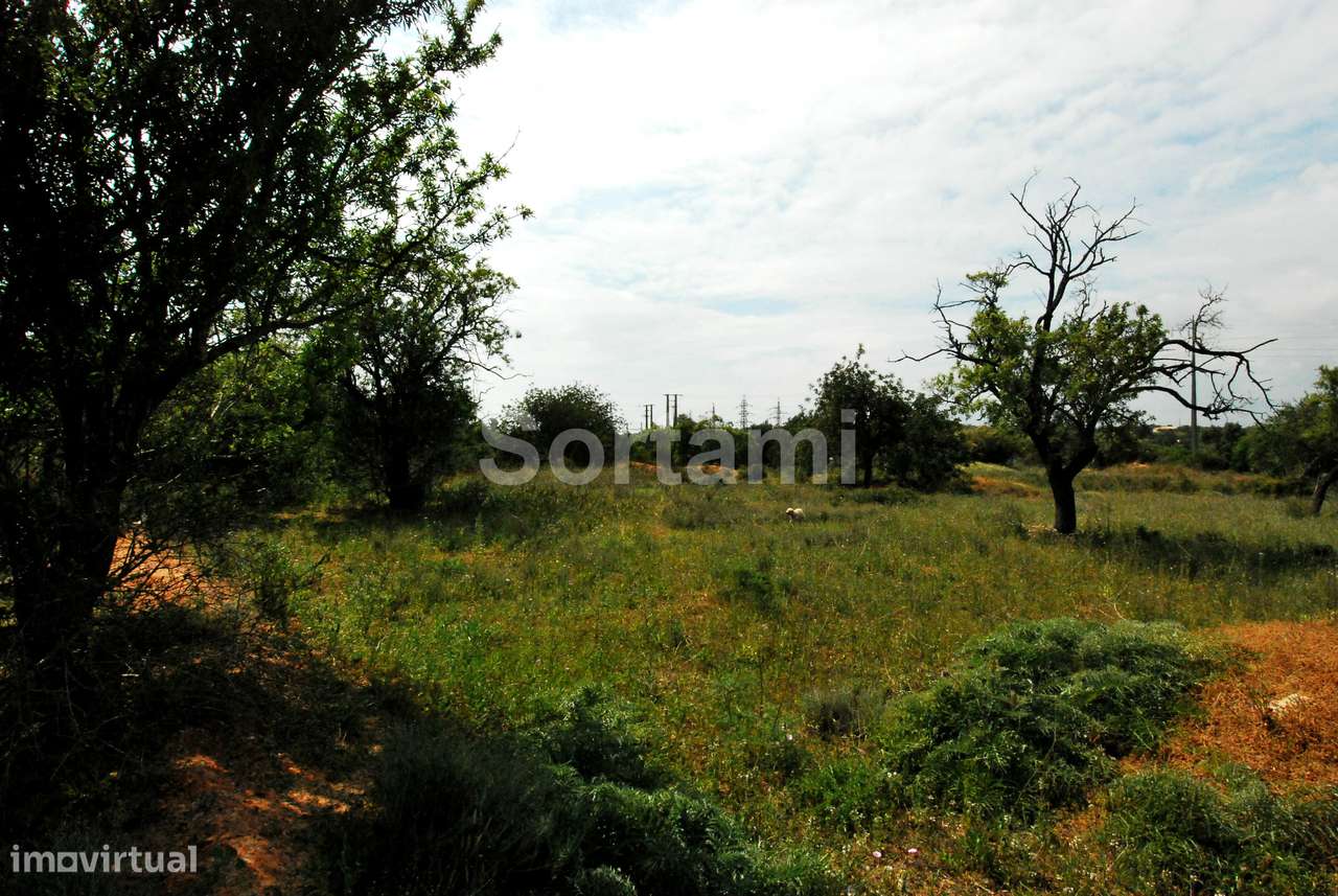 Terreno Rústico  Venda em Quelfes,Olhão - Grande imagem: 3/6