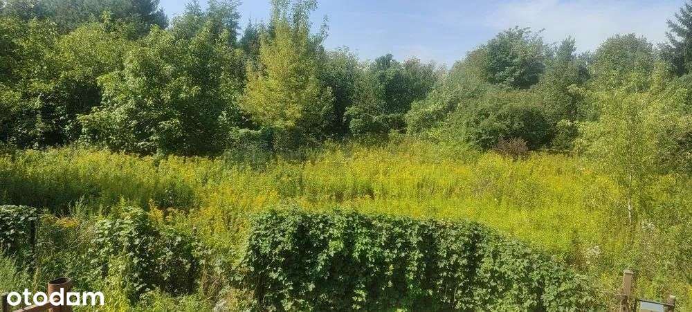 Ciche miejsce,idealna na bliźniak lub wolnostojący-1