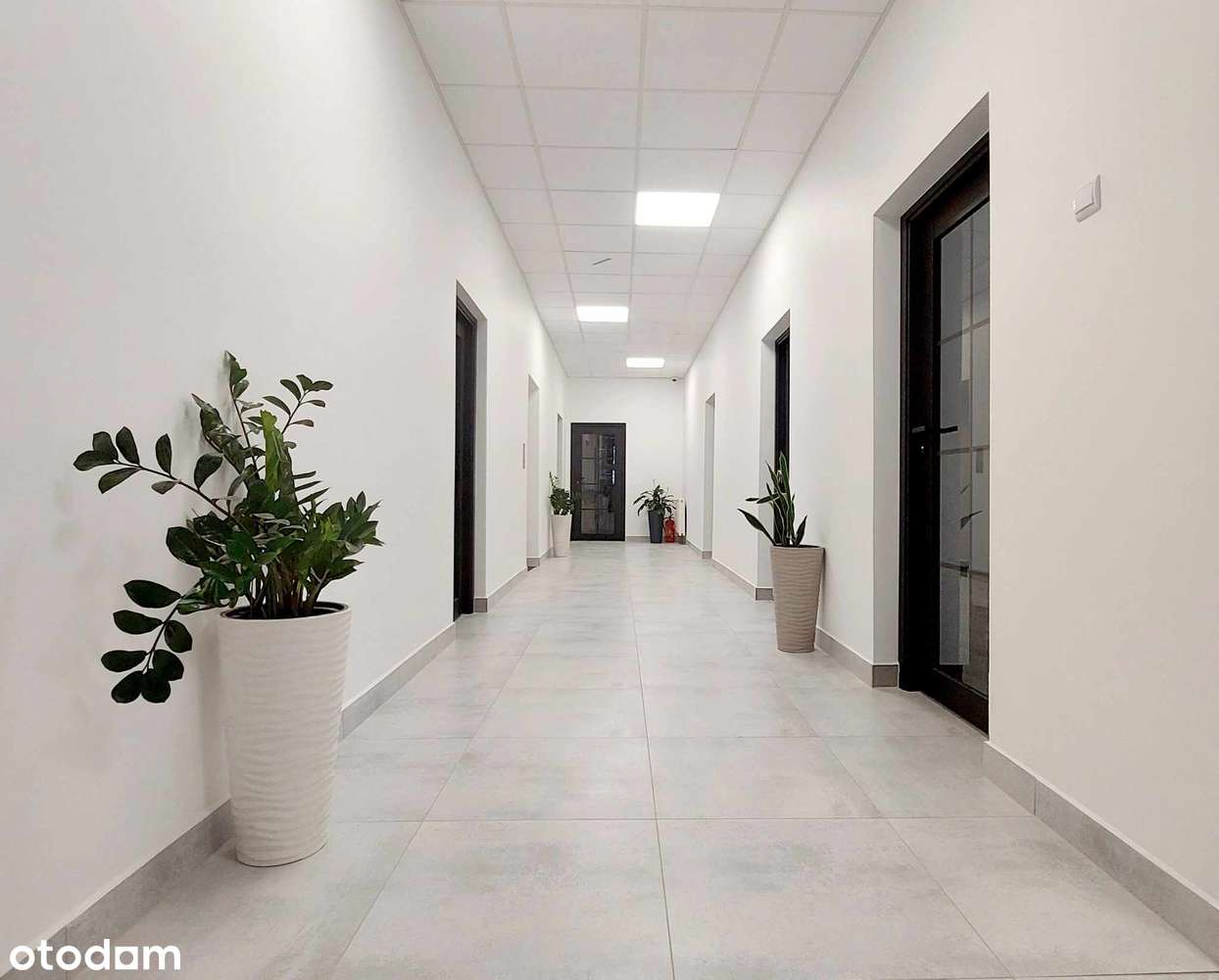 Biuro do wynajęcia Al. Kościuszki 101 - Pełny obrazek: 2/17