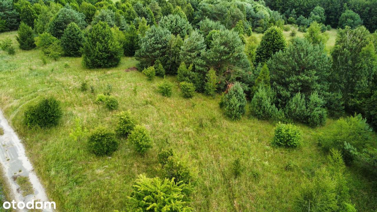 Działka pod zabudowę mieszkaniową na obrzeżu Gniewina.-19