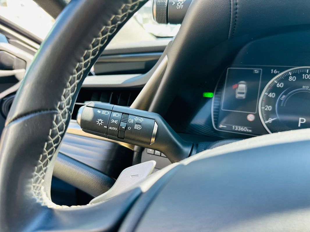 Lexus Seria ES 300h Luxury Line - 25