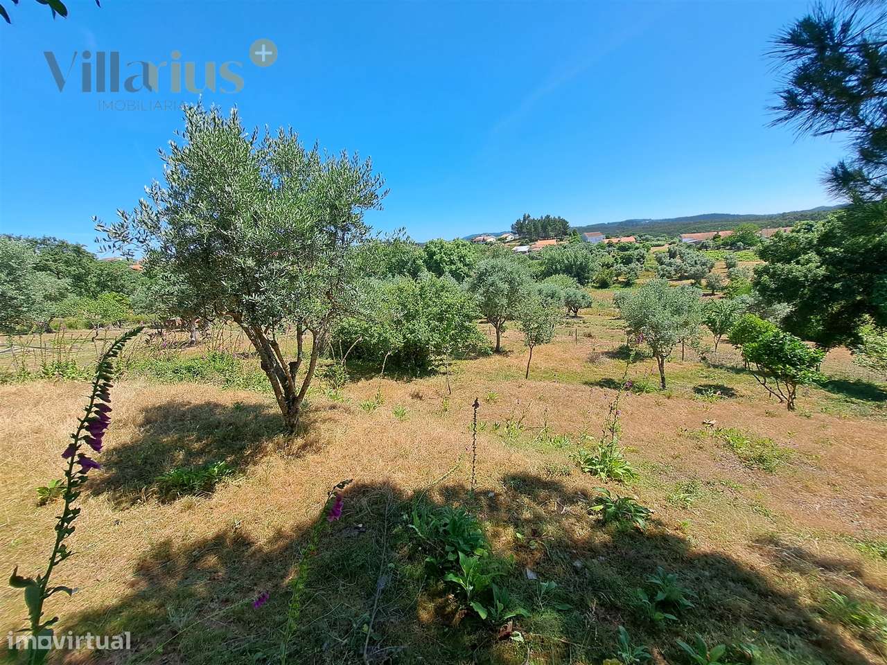 Terreno Urbano com Vista e Acesso Rápido a Tomar | Villarius Imobiliár-5
