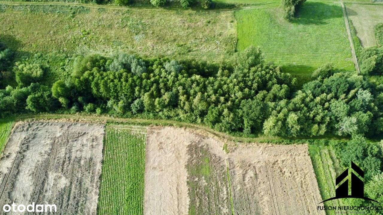 Urokliwa działka z potencjałem | 7842 m² | Łubno,-17