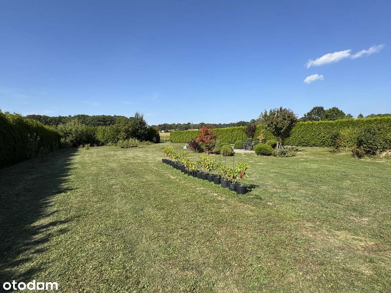 Willa na prestiżowym osiedlu-14