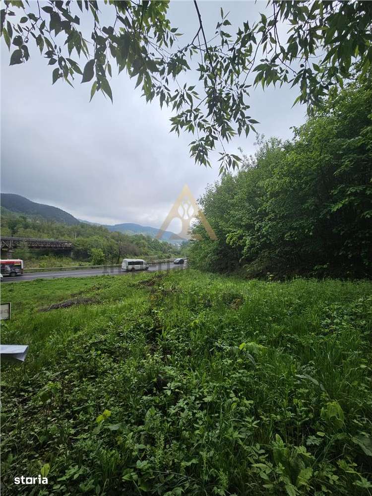TEREN  PENTRU BUSSINESS 2842 MP DE VANZARE IN STATIUNEA  TARGU OCNA - Imagine principală: 2/10
