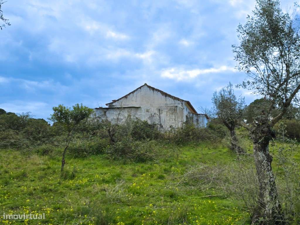 QUINTA COM 5HA DE TERRENO COM 500M2 URBANO - GALVEIAS - PONTE DE SOR-18