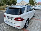 Mercedes-Benz ML 350 BlueTec 4MATIC Aut - 16